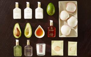 ������ ��������� by Ligne st Barth ������ ���� by st Barth