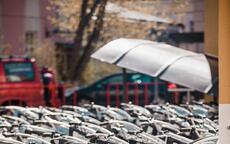 IMG_9561